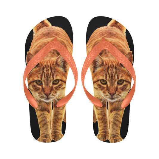 Cat Lovers Flip Flops - Cute Cats Store