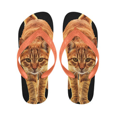 Cat Lovers Flip Flops - Cute Cats Store