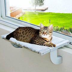cat window perch - Cute Cats Store
