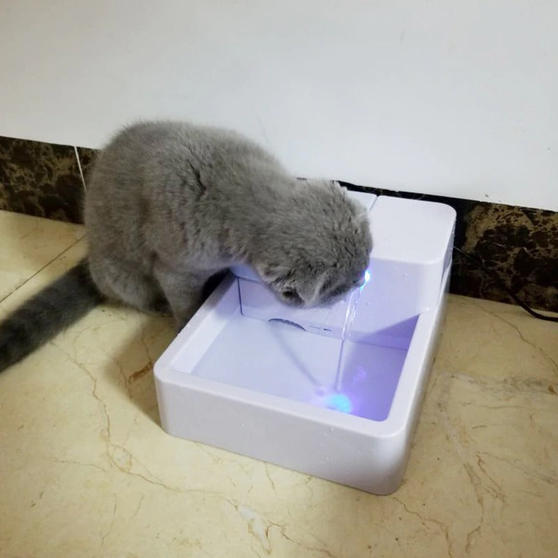 pet fountain - Cute Cats Store