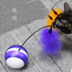 Cat Toy Electronic Motion Ball - Cute Cats Store