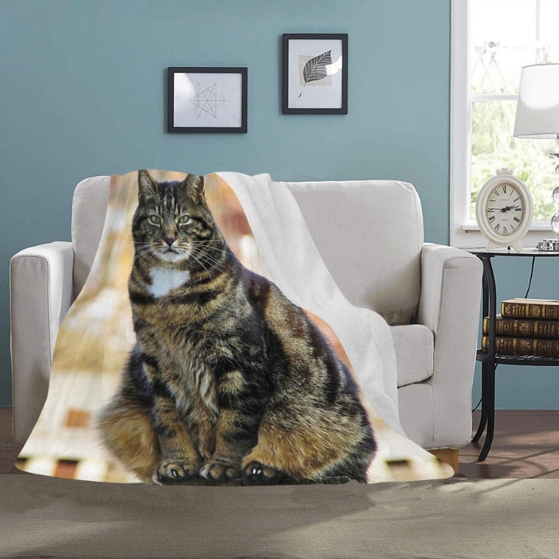 cat blanket - Cute Cats Store