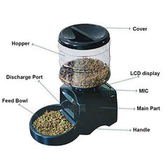 portion control cat feeder - Cute Cats Store