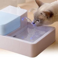 cat fountain filter - Cute Cats Store