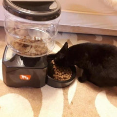 petsafe automatic feeder - Cute Cats Store