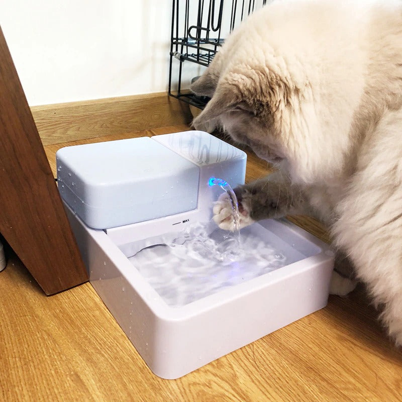 Automatic Cat Fountain - Cute Cats Store