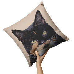 decorative cat pillow - Cute Cats Store