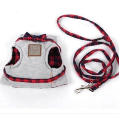 cat walking leash harness - Cute Cats Store