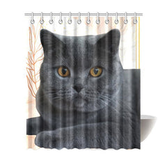 Cat Shower Curtain - Cute Cats Store