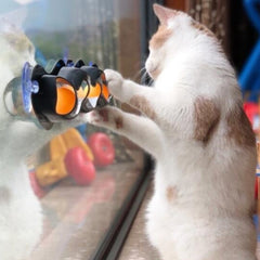 Cat Toy With Ball - Cute Cats Store