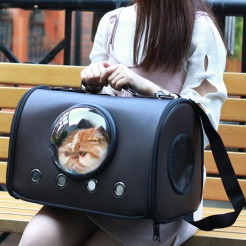 carrier for cat - Cute Cats Store