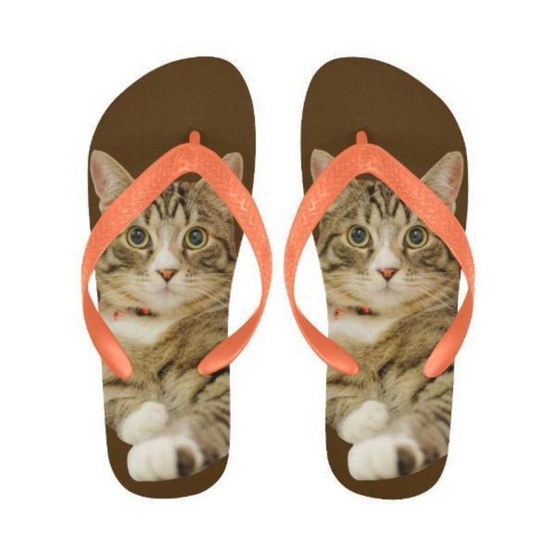 cat flip flops - Cute Cats Store