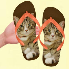 cat lover flip flops - Cute Cats Store