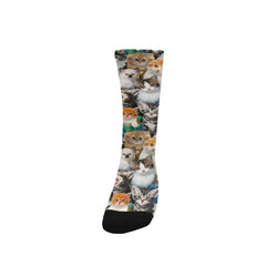 cat lover socks - Cute Cats Store