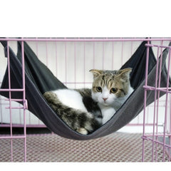 Cat Swing - Cute Cats Store