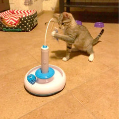 Cat Toy - Cute Cats Store