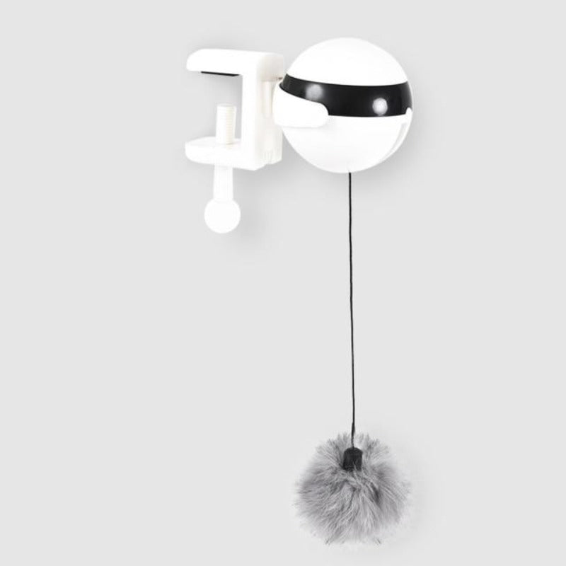 Interactive Cat Toy Ball - Cute Cats Store