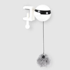 Interactive Cat Toy Ball - Cute Cats Store