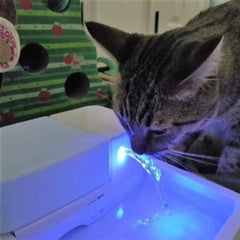 automatic pet fountain - Cute Cats Store