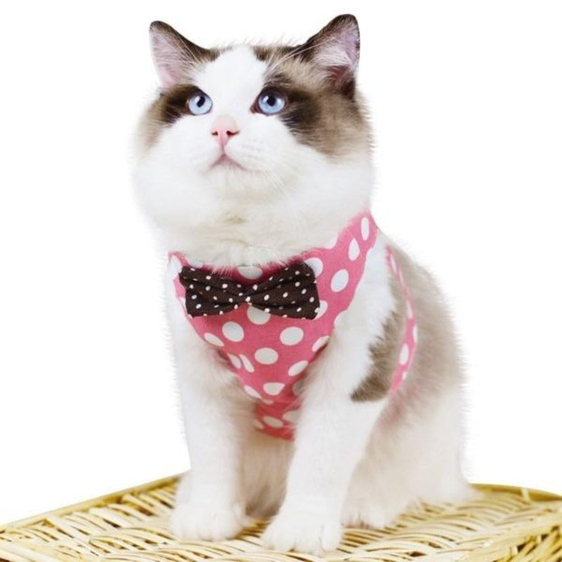 cat harness and leash - Cute Cats Store