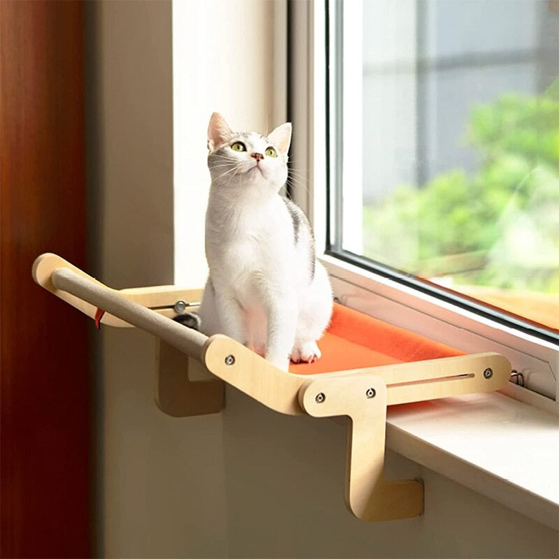 best cat window perch - Cute Cats Store