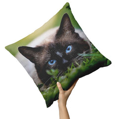 personalized cat pillow - Cute Cats Store
