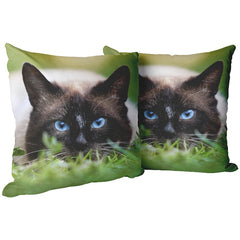 cat pillow case - Cute Cats Store