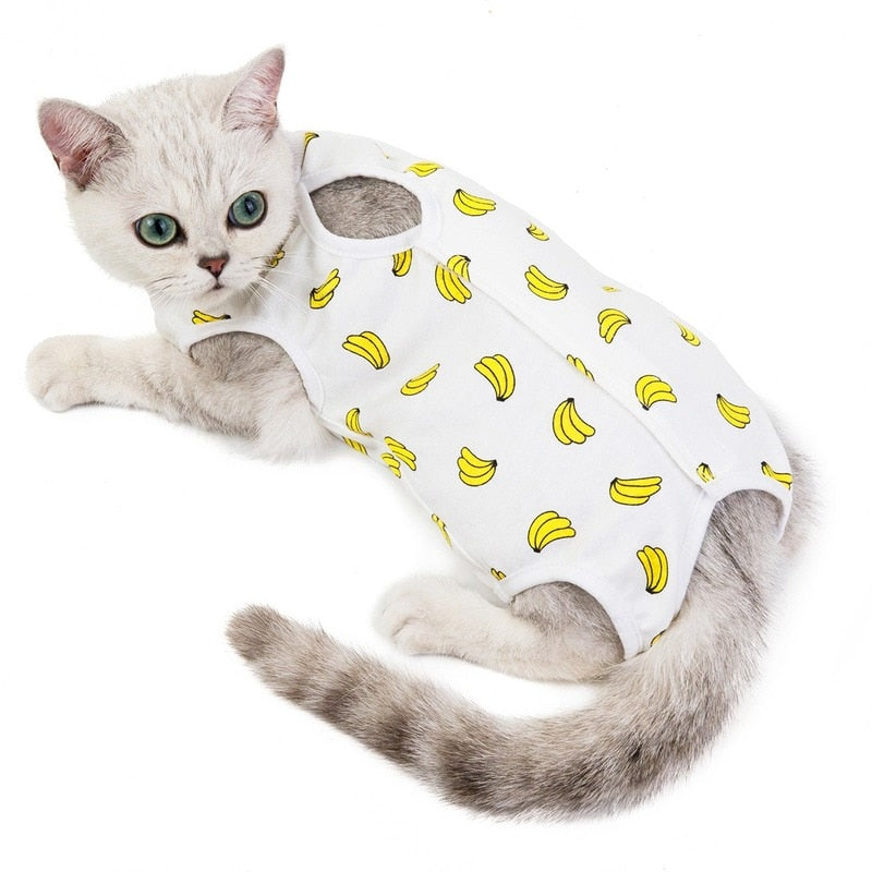 Cat Recovery Suit After Surgery Clothing Anti-licking Vest Pet Care – Cute Cats  Store