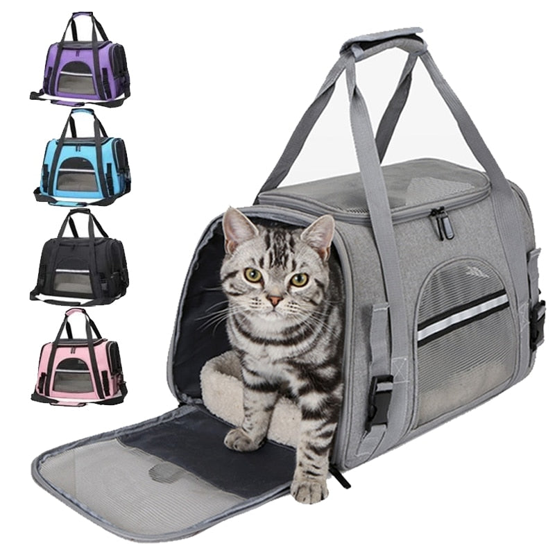 Airline-approved size cat carrier - Cute Cats Store
