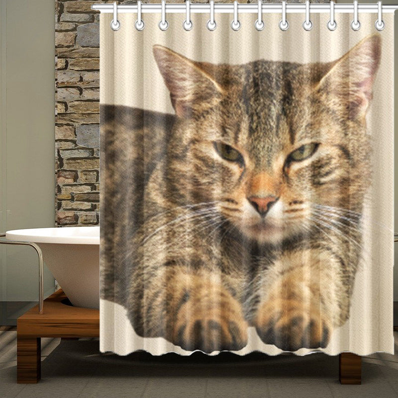 cat shower curtain - Cute Cats Store