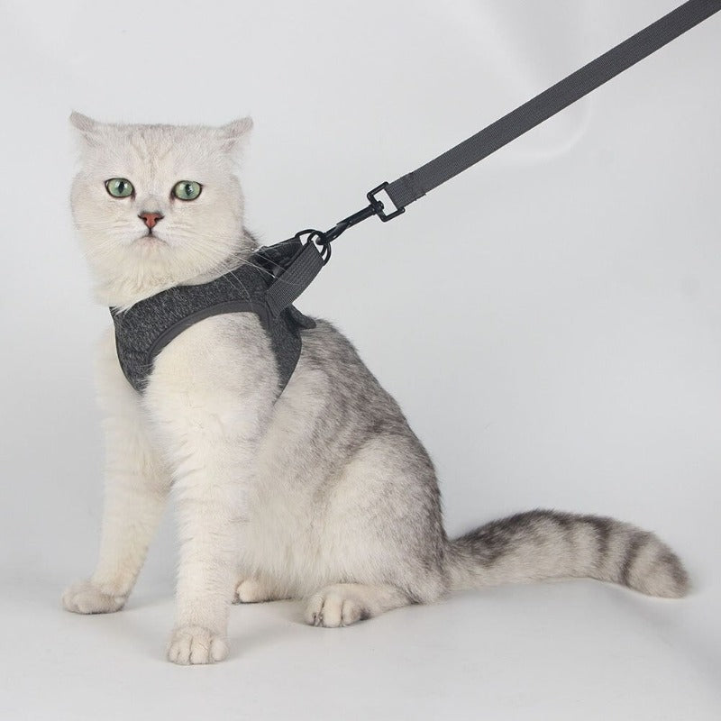  Cat Harness and Leash for Walking Soft Adjustable