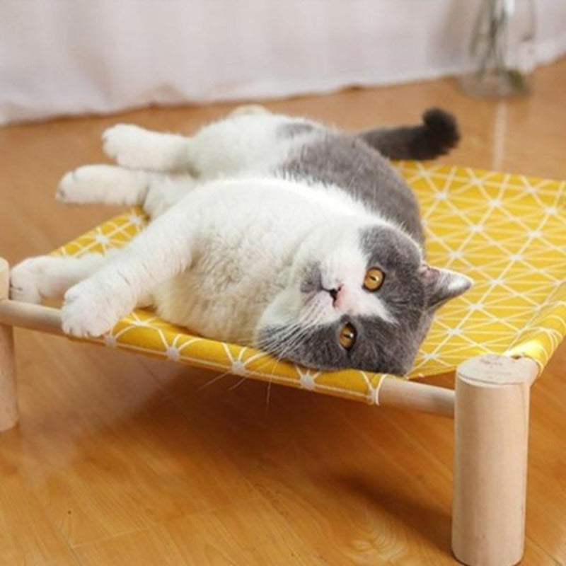 Daisy Hammock Cat Bed - Cute Cats Store
