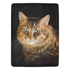 cat blanket for humans - Cute Cats Store