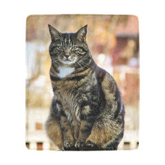 blanket with cats on it - Cute Cats Store