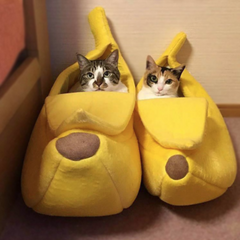 cat banana bed - Cute Cats Store