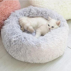 cat bed nest - Cute Cats Store