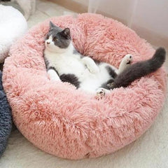 cat bed - Cute Cats Store