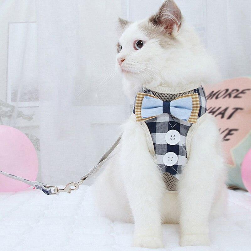 Cat Harness - Cute Cats Store