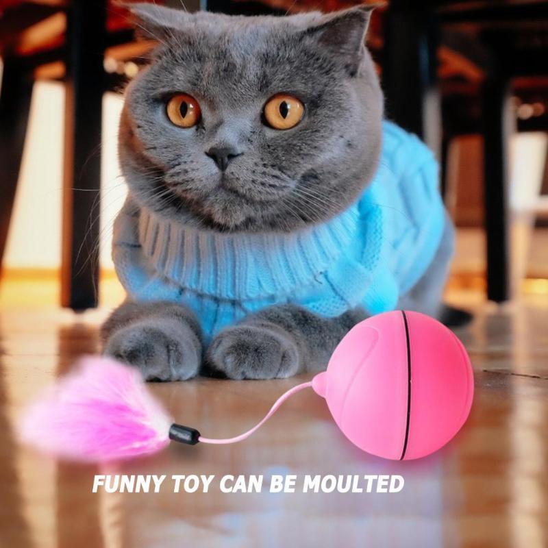 spinning cat ball toy - Cute Cats Store