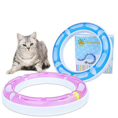 cat track toy - Cute cats Store