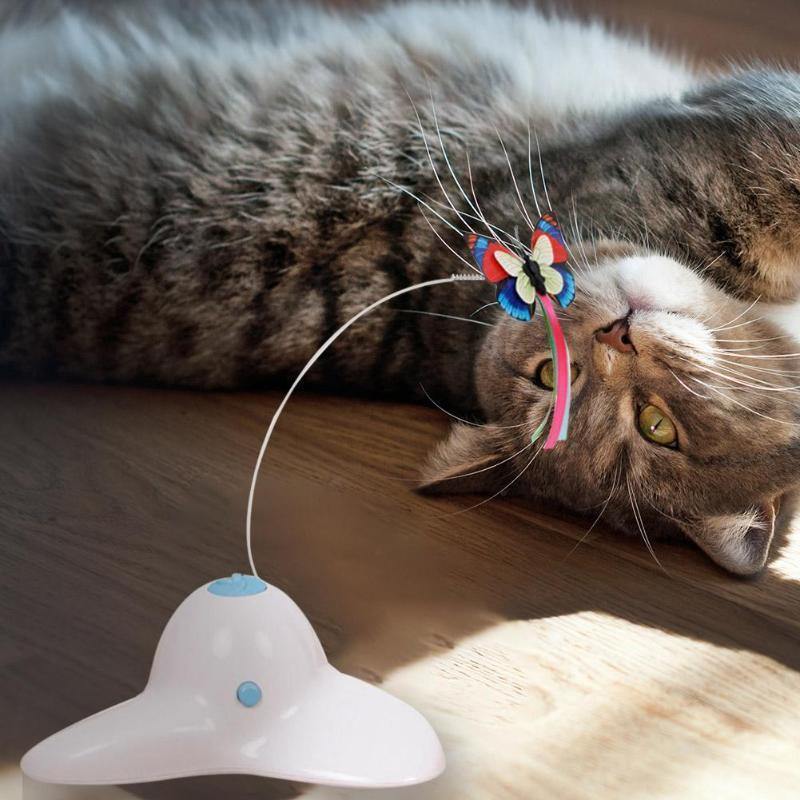 Funny Cat Toy - Cute Cats Store