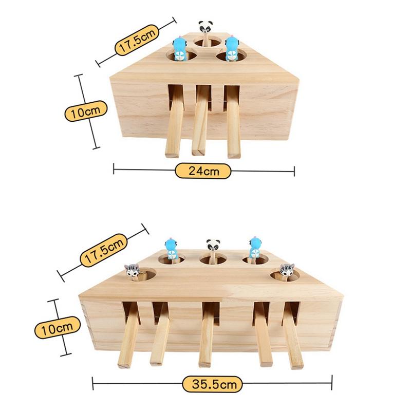 activity cat toy - Cute Cats Store