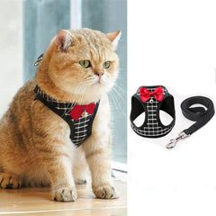 cat vest and leash - Cute Cats Store