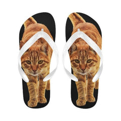 cat flip flops - Cute Cats Store