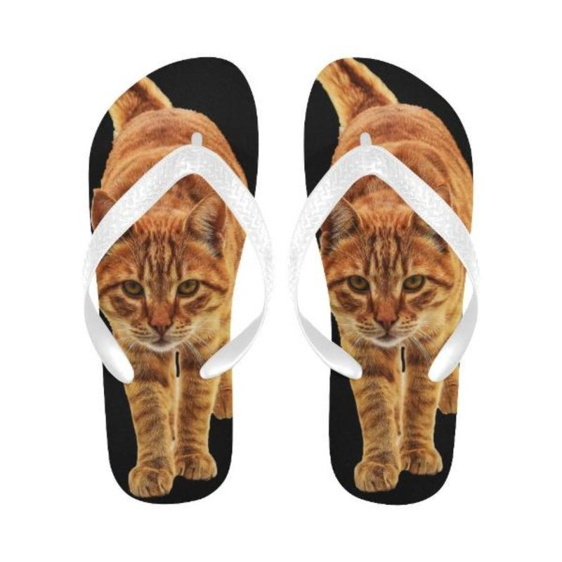 cat flip flops - Cute Cats Store