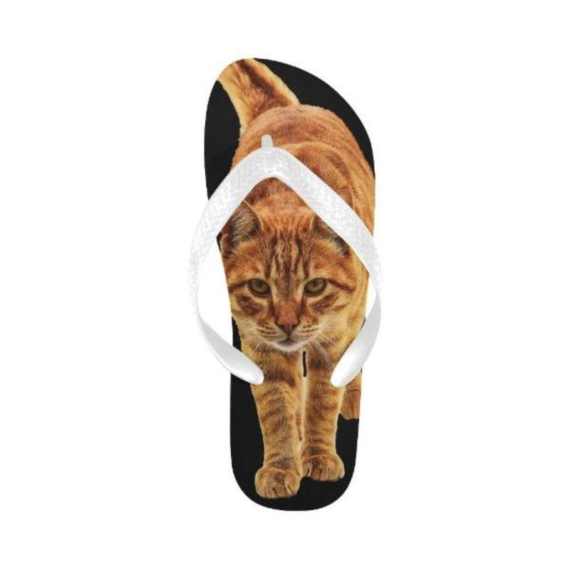 cat lover flip flops - Cute Cats Store