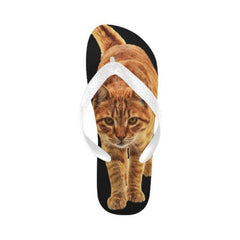 cat lover flip flops - Cute Cats Store