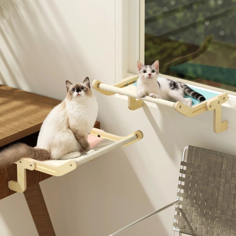 cat beds - Cute Cats Store
