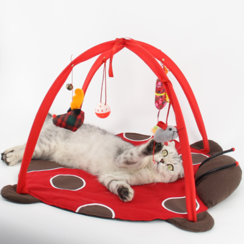 cat play mat - Cute Cats Store