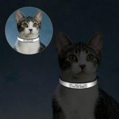 Cat Collar With Name - Cute Cats Store